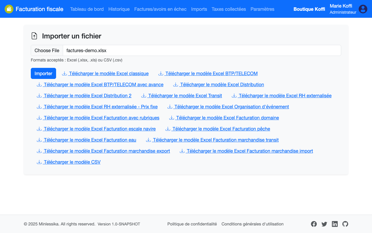 Formulaire d'import avec le fichier Excel sélectionné